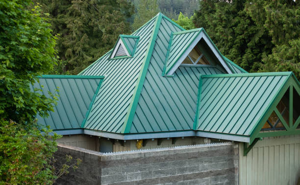 Best Green or Eco-Friendly Roofing Solutions  in Warren, IL